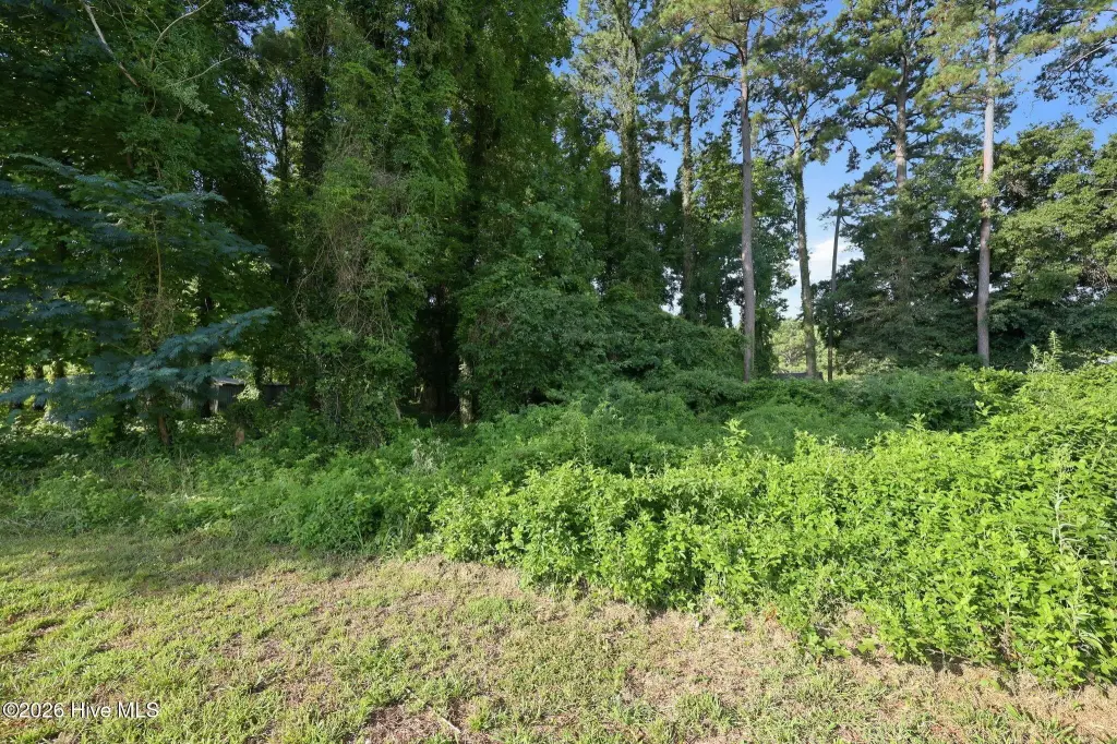 Picture 8