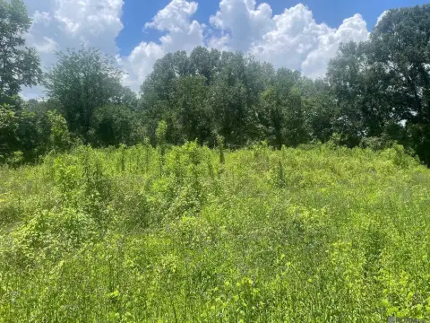 Baton Rouge Land Opportunity