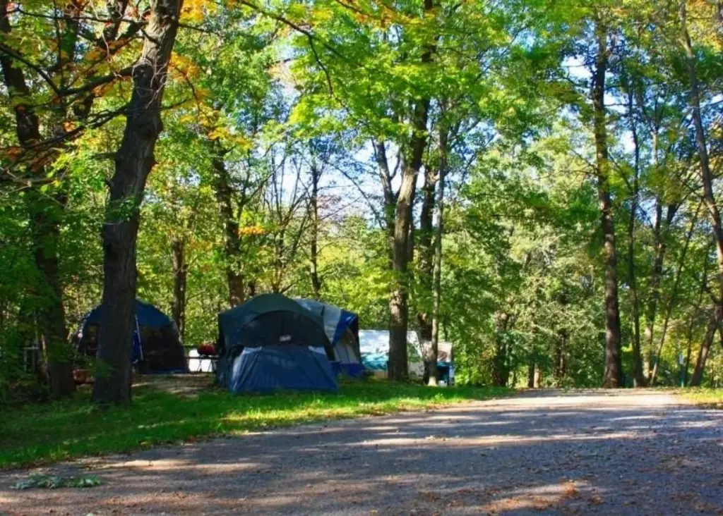 Picture 24