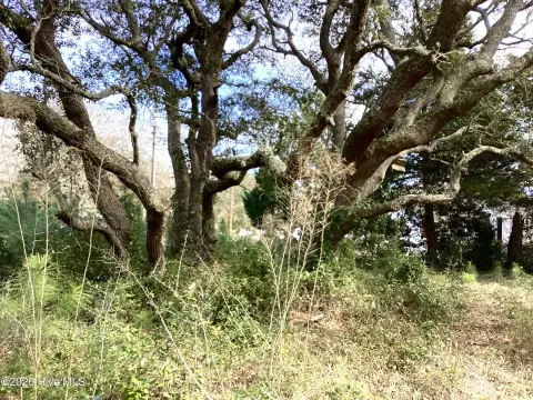 Double Lot Near the Coast