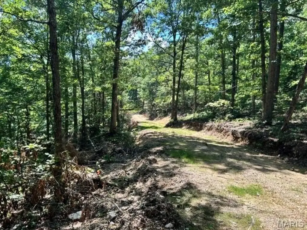 Picture 3