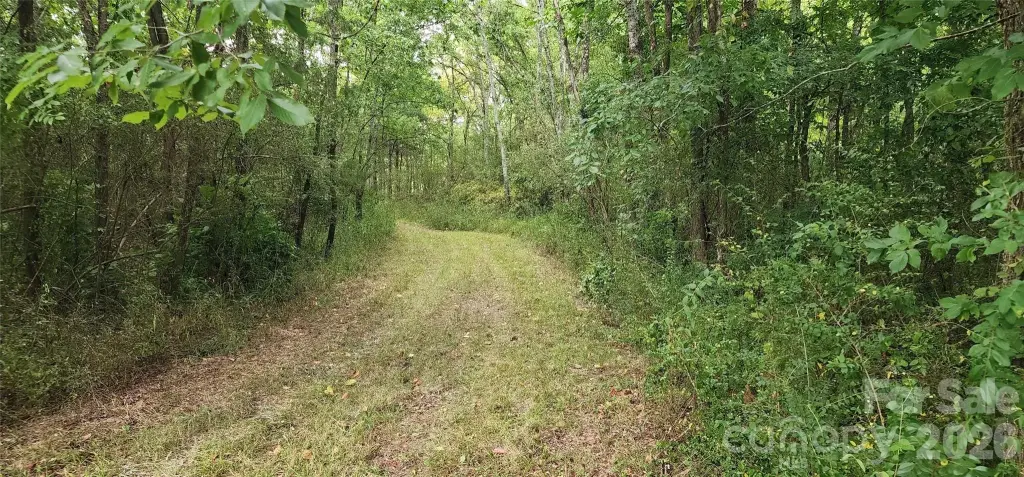 Picture 21