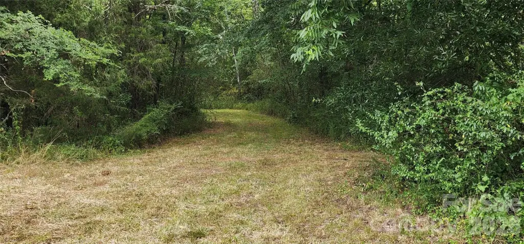 Picture 18