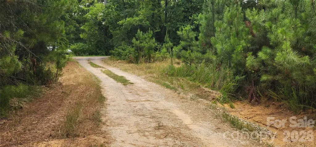 Picture 38