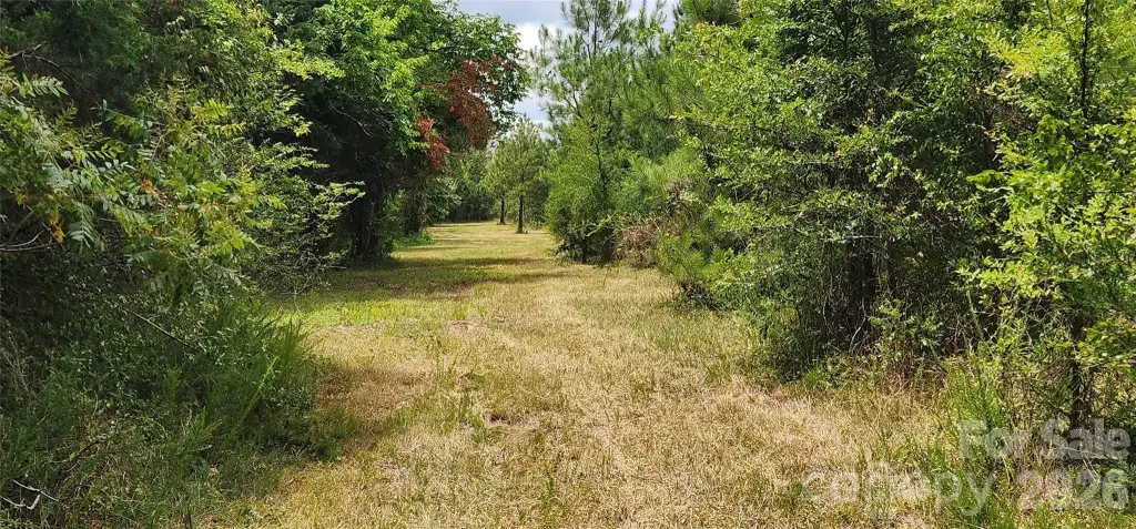 Picture 25