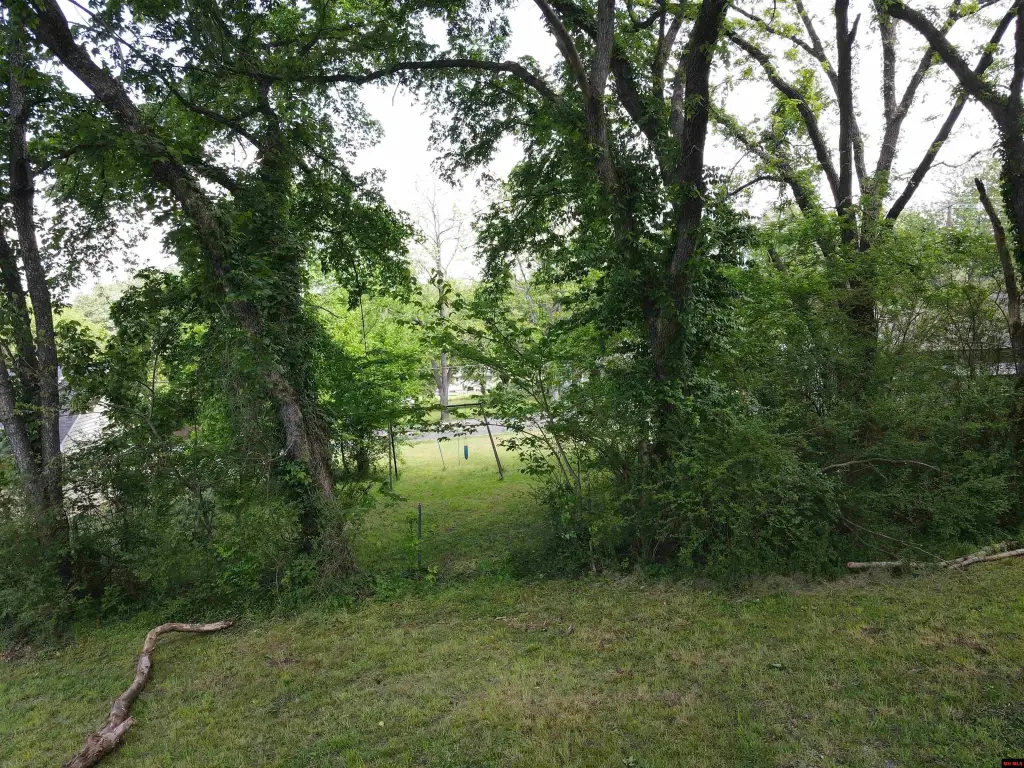 Picture 13