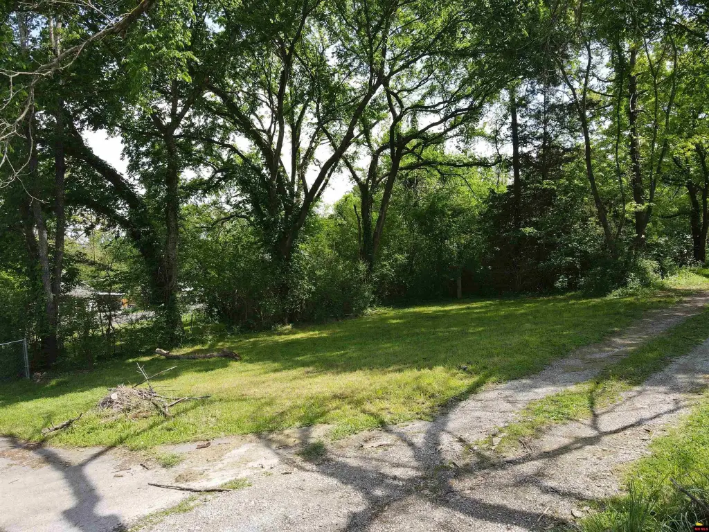 Picture 14