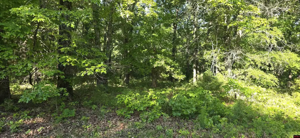 Picture 2