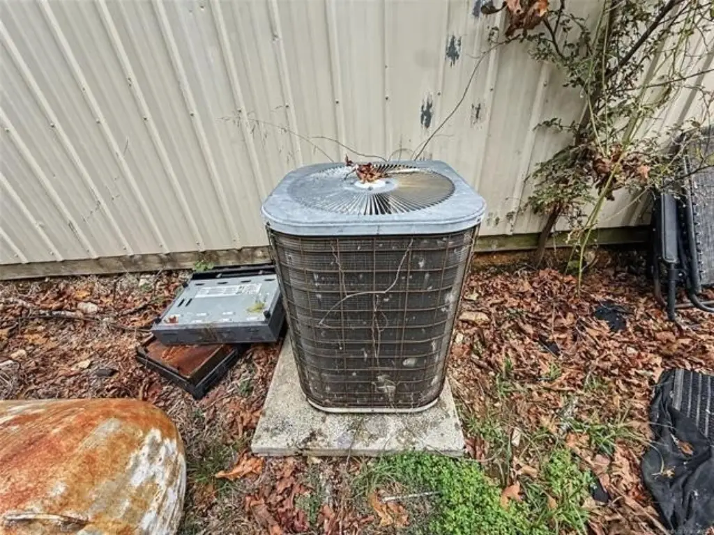 Picture 31