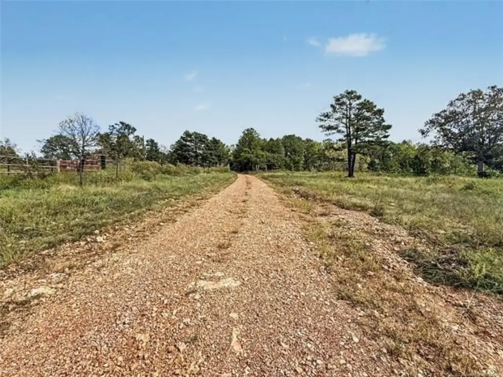 Picture 7