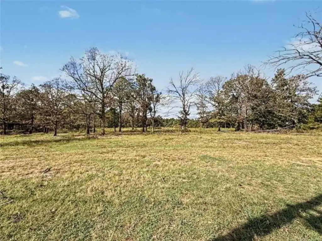 Picture 16