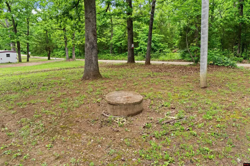 Picture 45