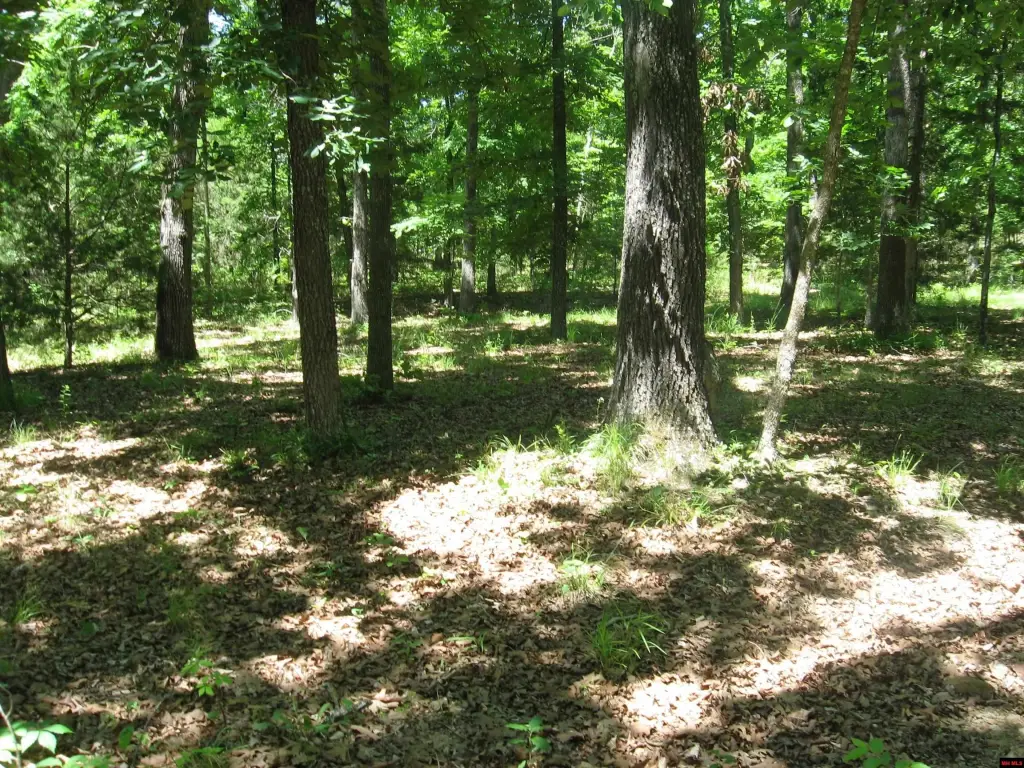 Picture 7