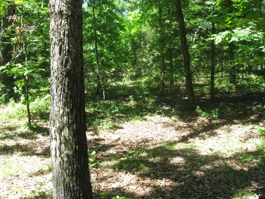 Picture 9