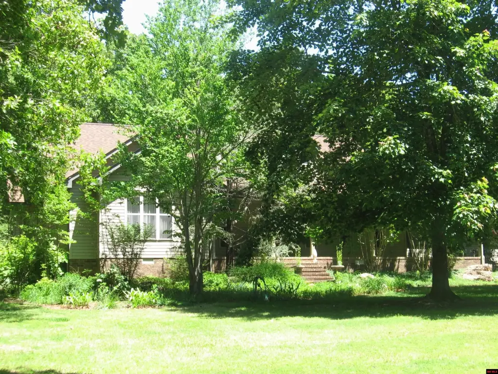 Picture 10
