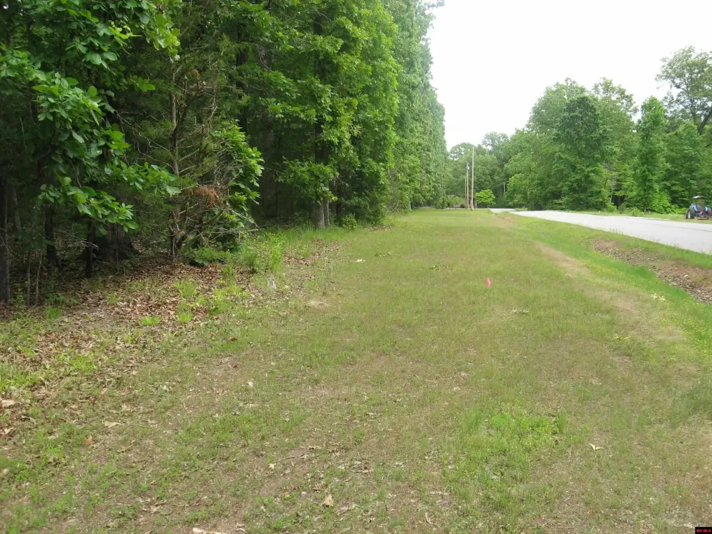 Picture 4