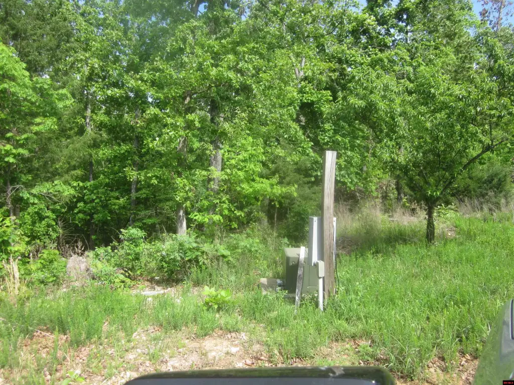 Picture 27
