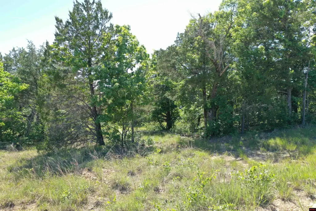 Picture 5