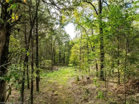 10 Acres of Wooded Land