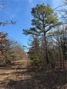 20 Acres in Rural Atoka