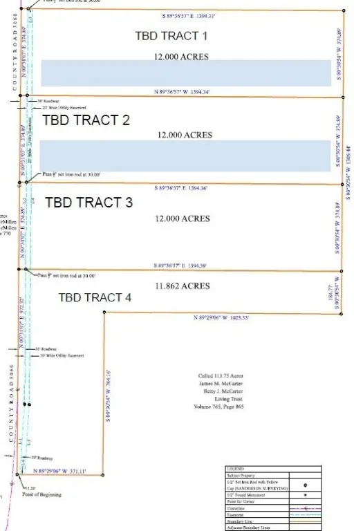 Picture 18