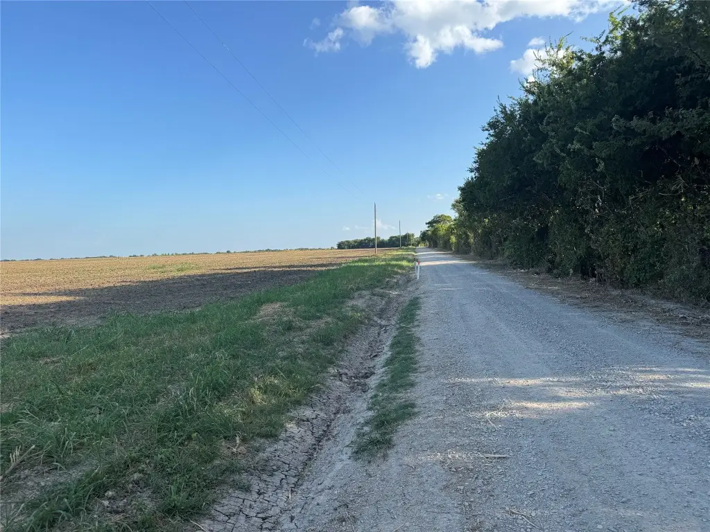 Picture 17