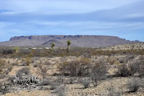 20 Acres Near Big Bend