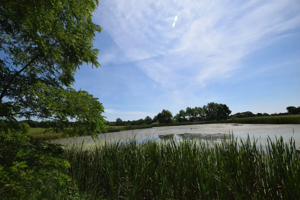 Picture 7