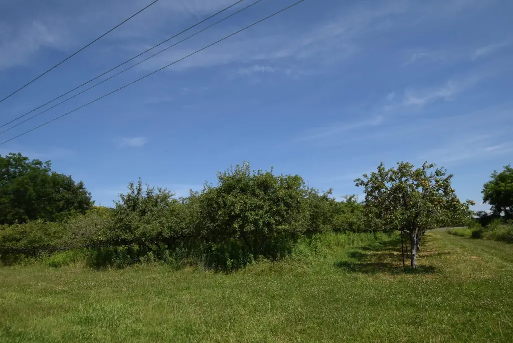 Picture 13