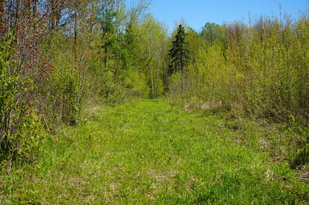 Picture 9