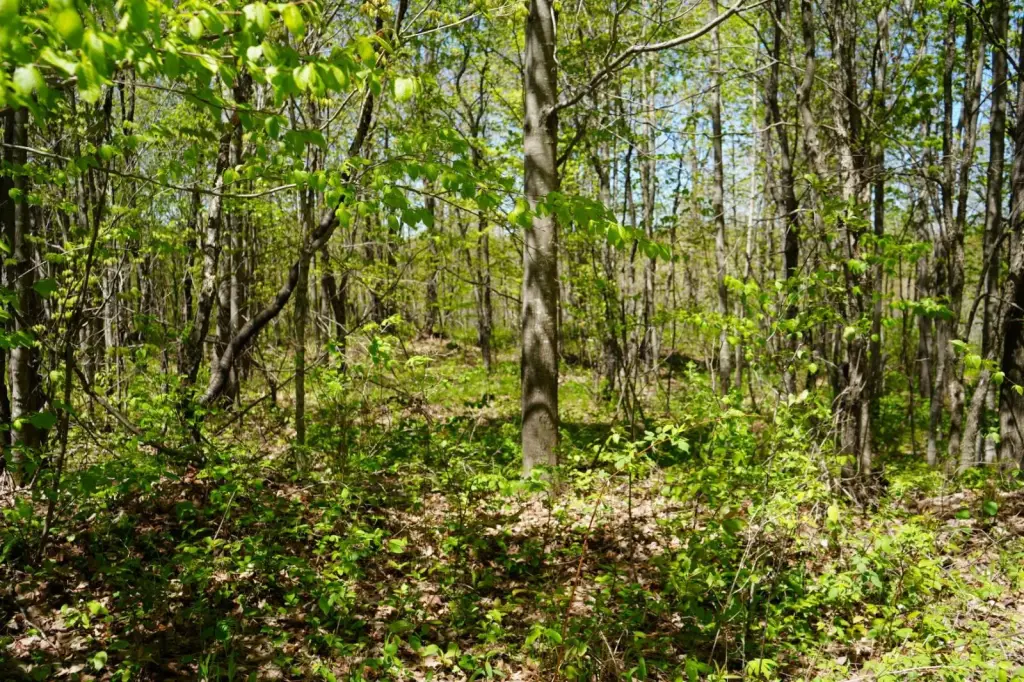 Picture 29