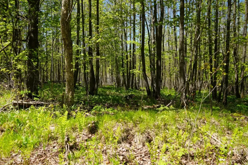 Picture 14
