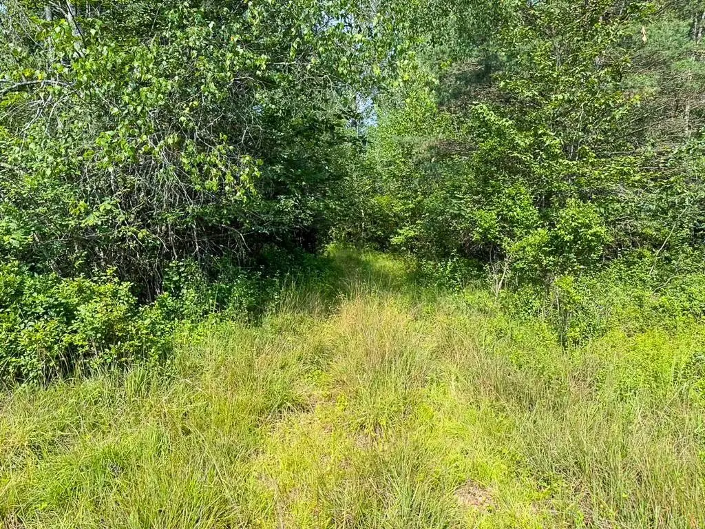 Picture 38