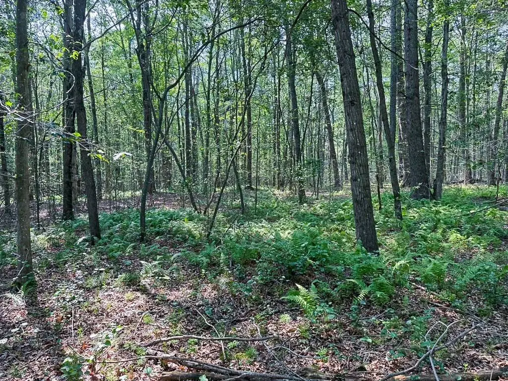 Picture 41