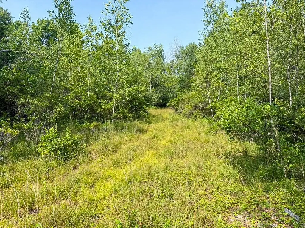 Picture 36