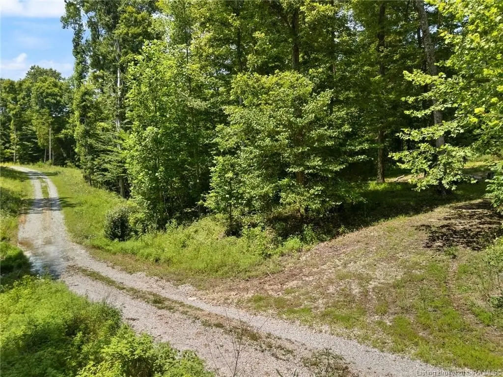 Picture 16