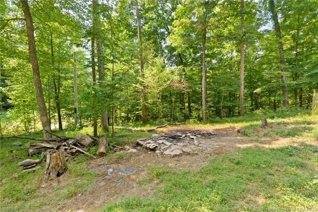 Picture 4
