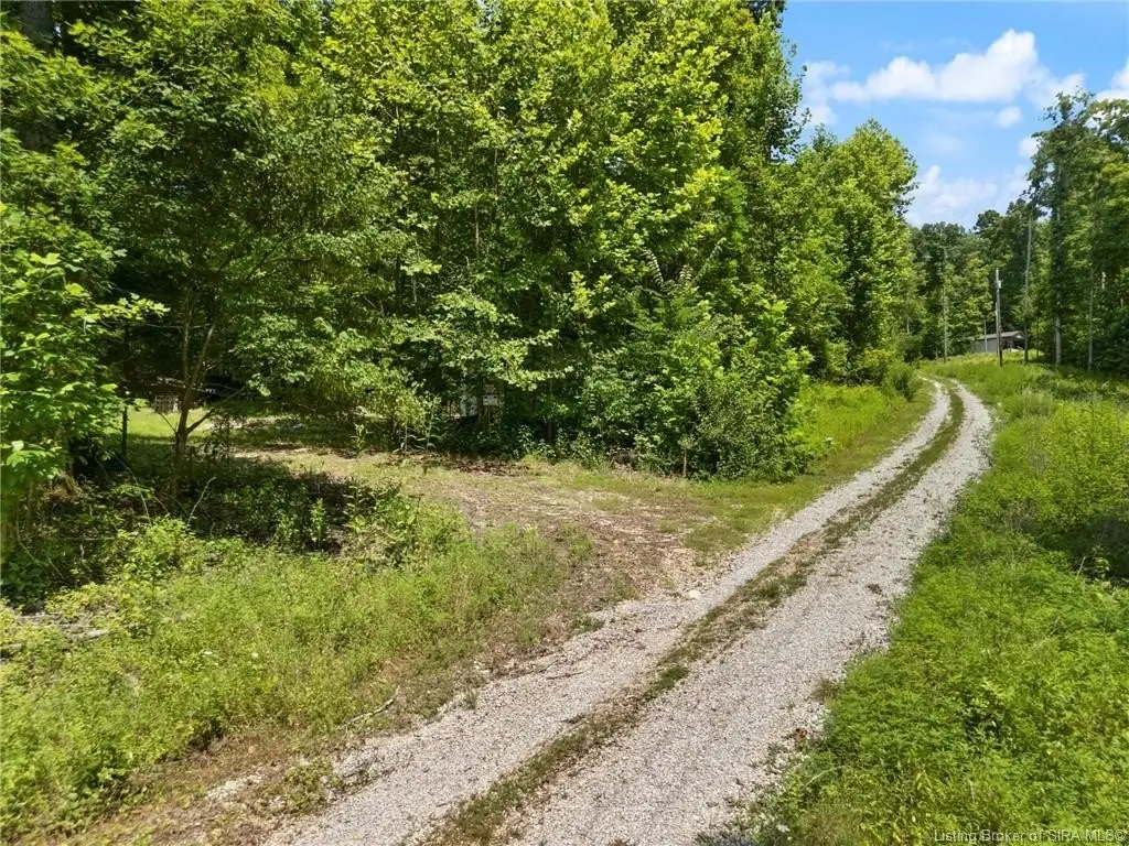 Picture 17
