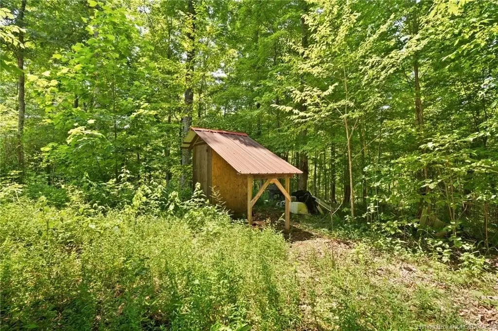 Picture 7