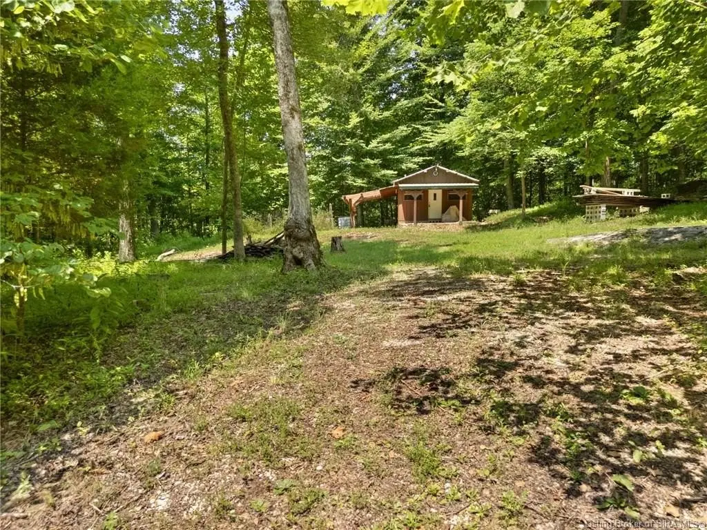 Picture 19
