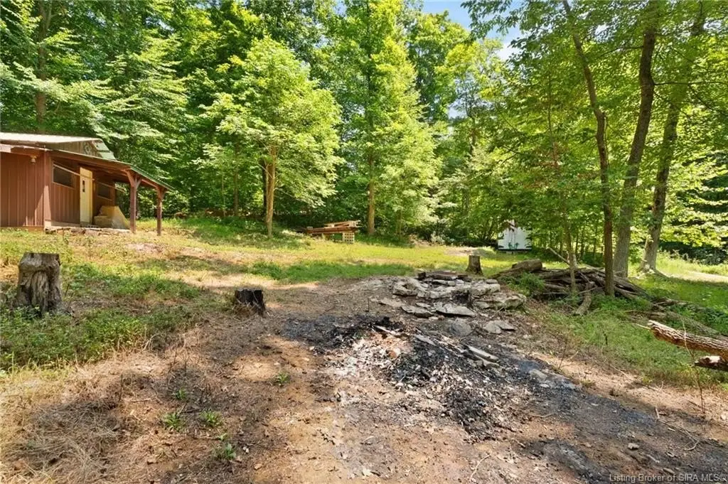 Picture 5