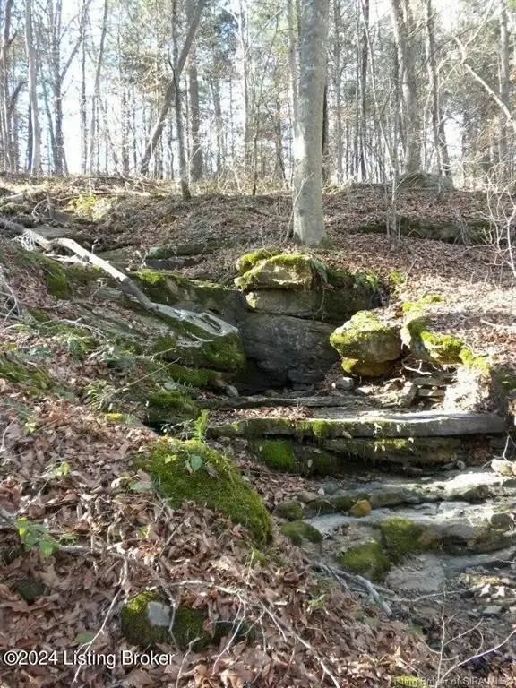 Picture 21