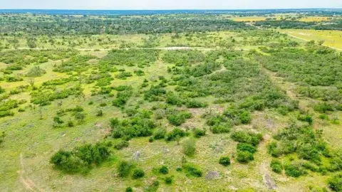 Harper, TX Wooded Land Tract