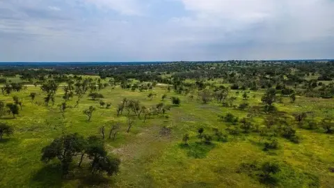 Harper, TX Wooded Land Tract