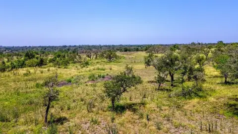 Harper, TX Wooded Land Tract