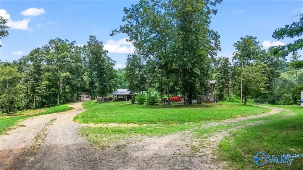 Picture 29