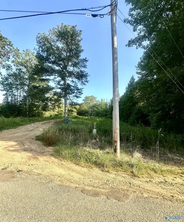 Picture 2