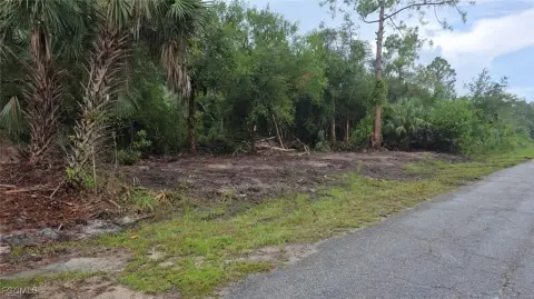 Lehigh Acres Half-Acre Land