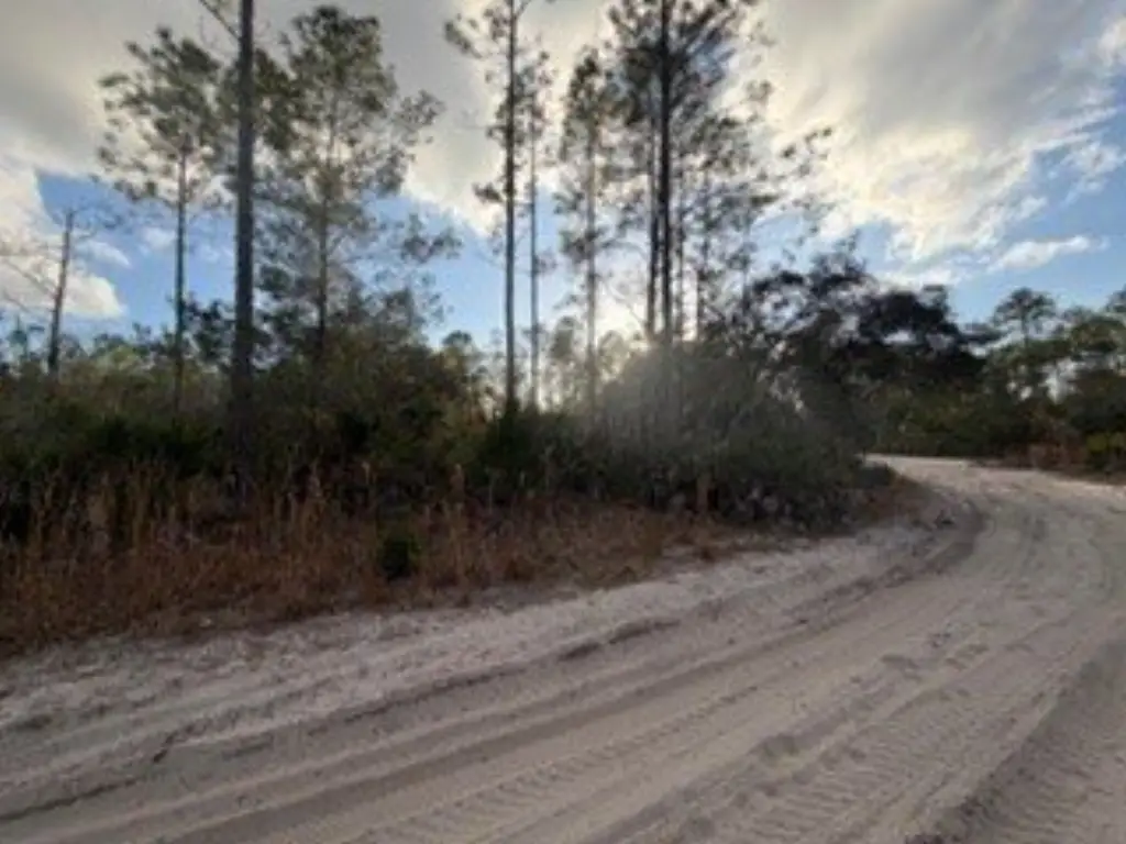 Picture 6