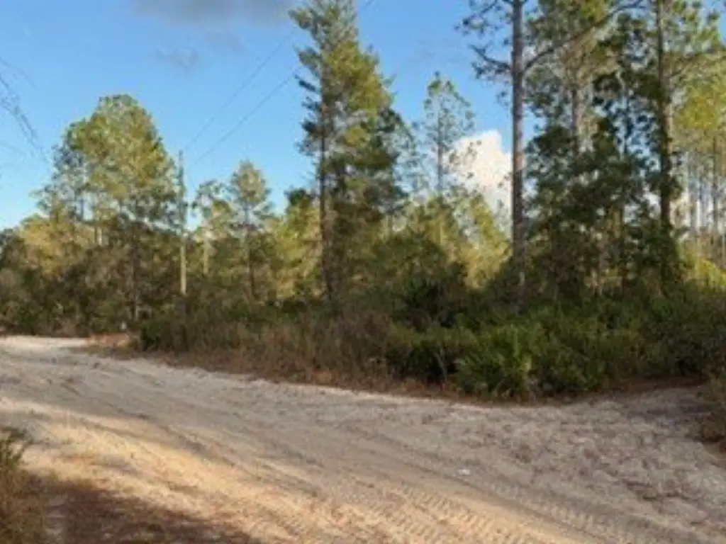 Picture 4